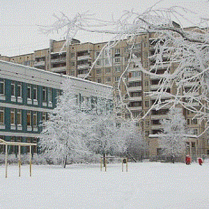 Входная группа Гимназия № 405 Красногвардейского района. 