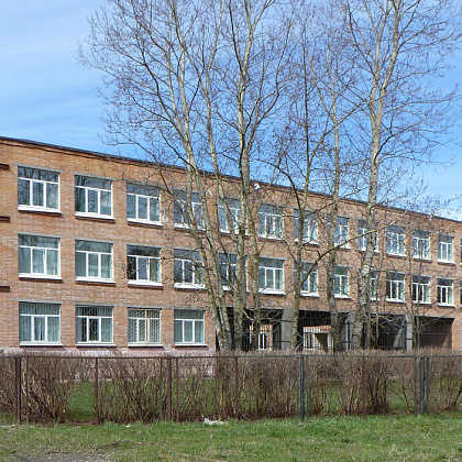 Входная группа Школа № 430 Петродворцового района. 